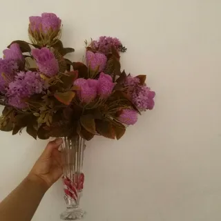 گل زیبای یاسمن