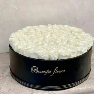 گل رز هلندی