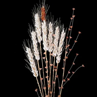 خوشه گندم کریستالی