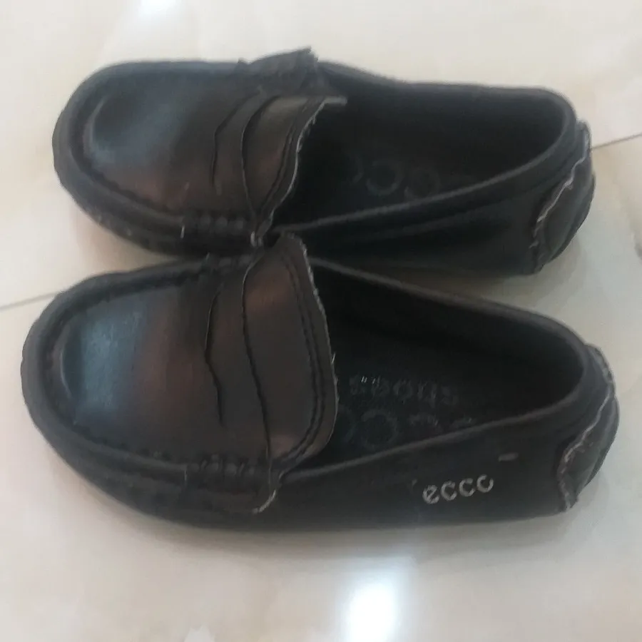 کفش ecco