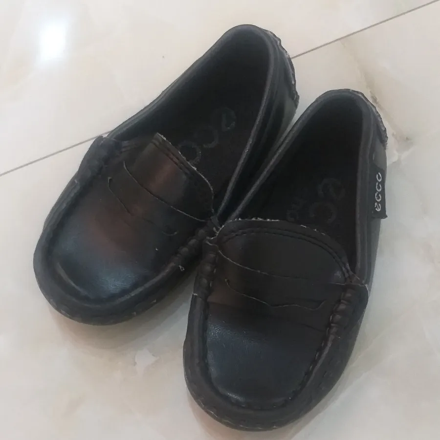 کفش ecco