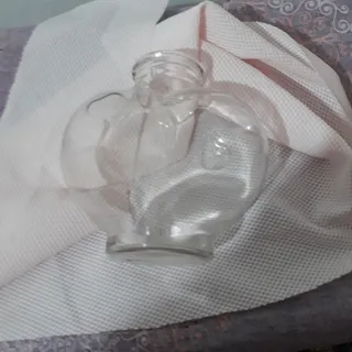 گلدن یا ظرف ماهی