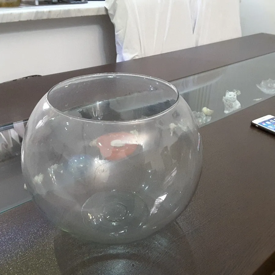 تنگ شیشه ای