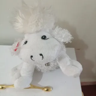 ببعی پشمالو