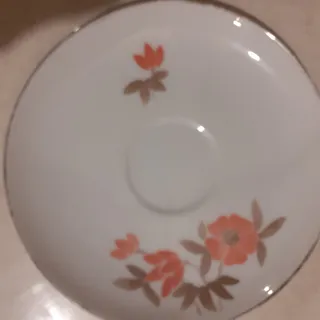 پیش دستی
