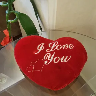 قلب عشق