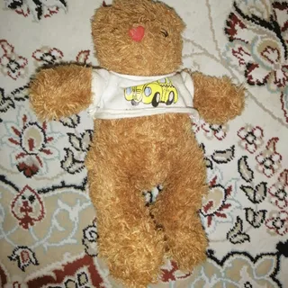 خرس خارجی