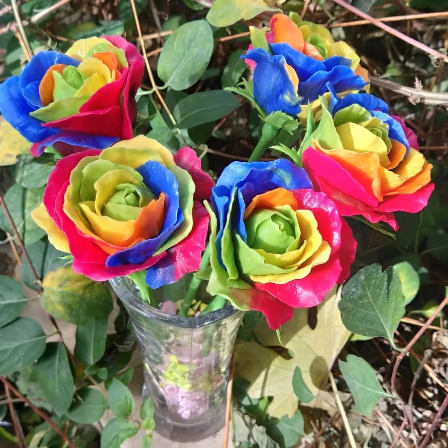 گل رز رنگین کمانی