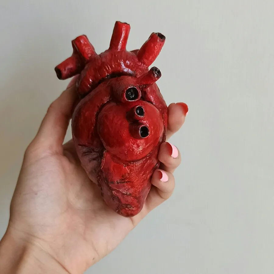 قلب آناتومیک دکوری