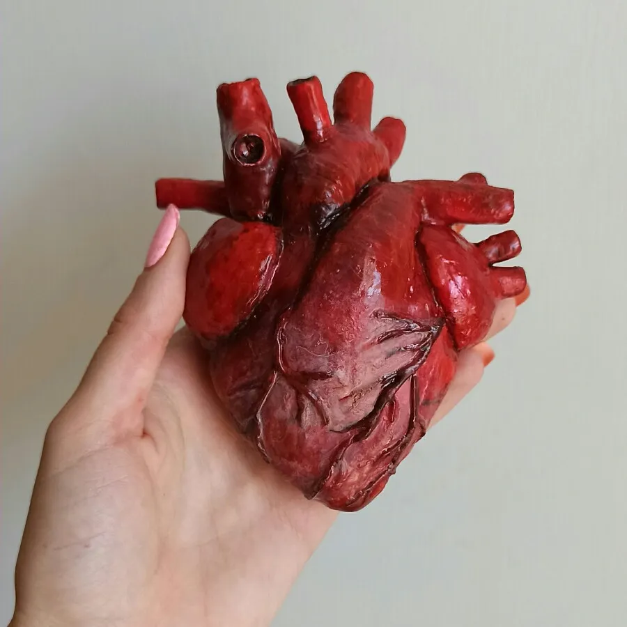 قلب آناتومیک دکوری