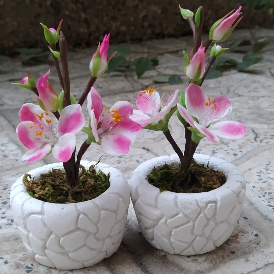 گلدان شکوفه بهاری کوچک