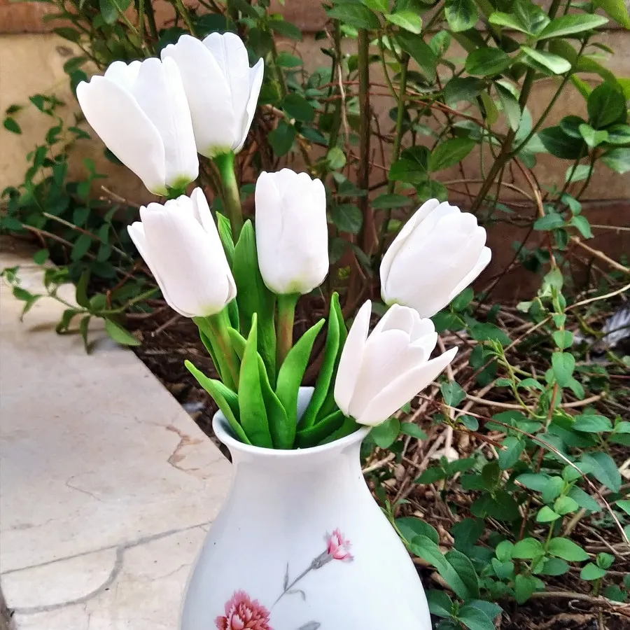 شاخه گل لاله