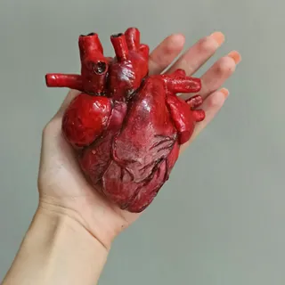 قلب آناتومیک دکوری