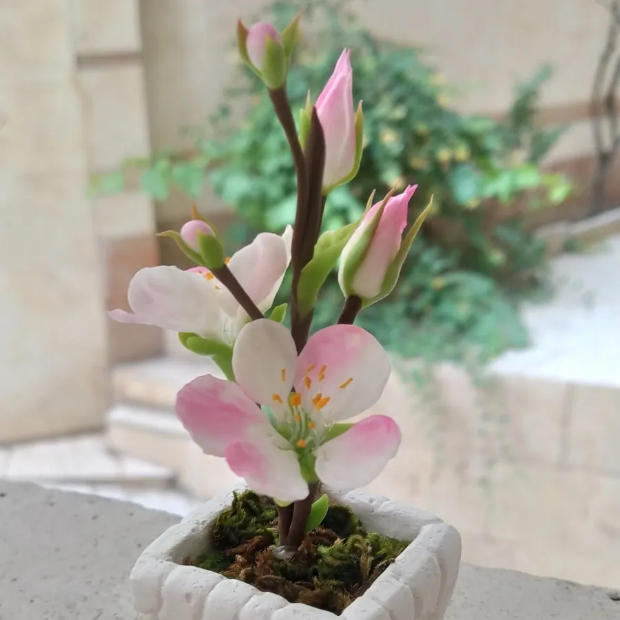 گلدان شکوفه بهاری کوچک