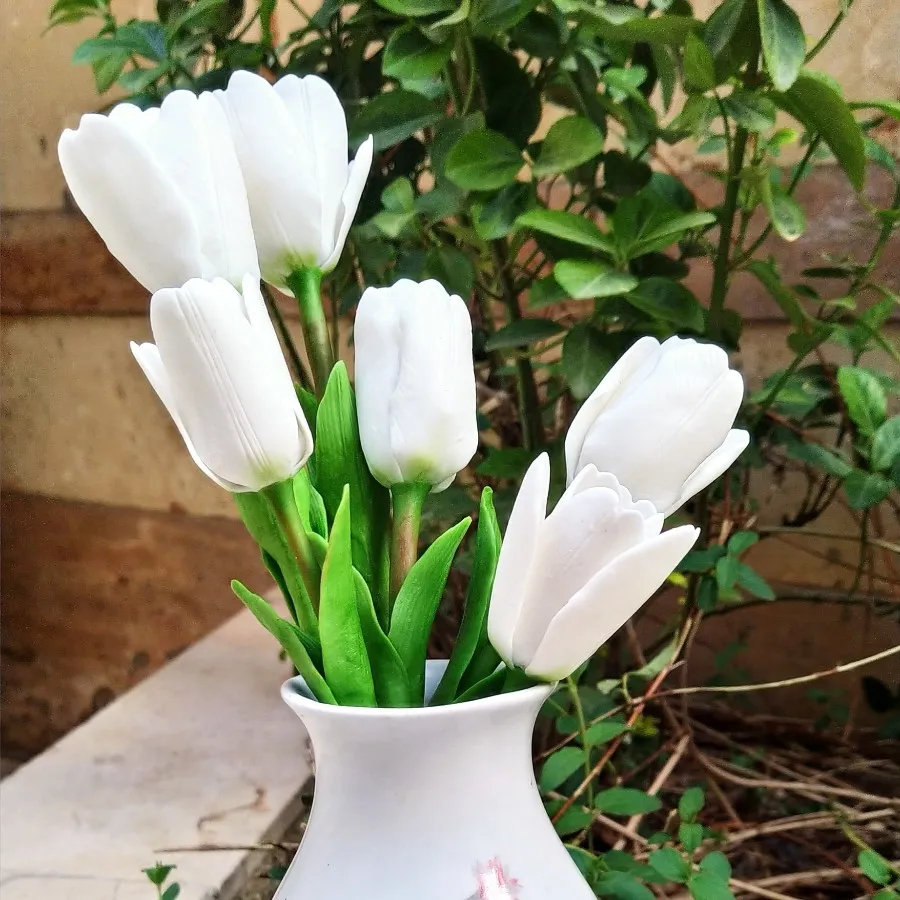 شاخه گل لاله