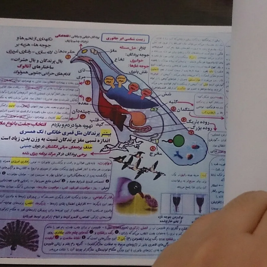 جزوه کنکوری ابر جانوری