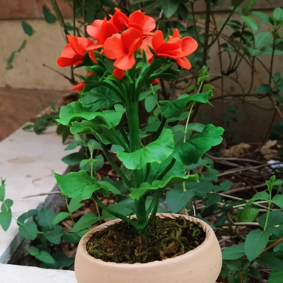 گلدان شمعدانی مینیاتوری