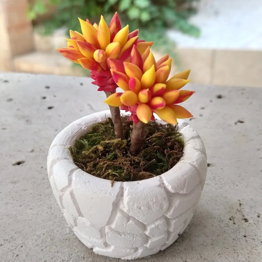 کاکتوس دکوری - کد 2157