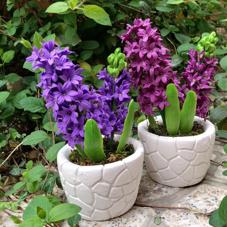 گلدان سنبل دکوری