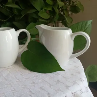 جا سسی