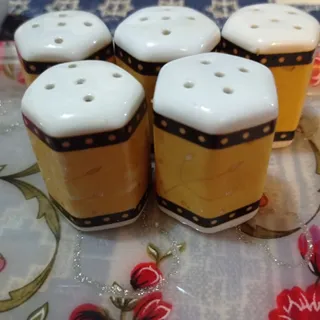 نمکپاش کوچک