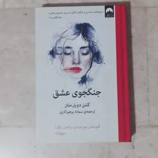 جنگجوی عشق