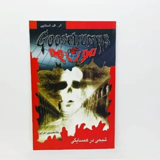 کتاب شبحی در همسایگی