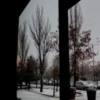 سارا کمدااااا